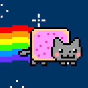 Meet your Posher, Amelie